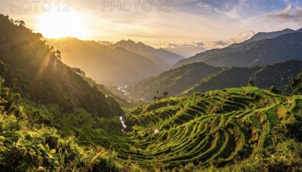 Early morning light bathes Philippines rice terraces cascading down mountain slopes, beautiful