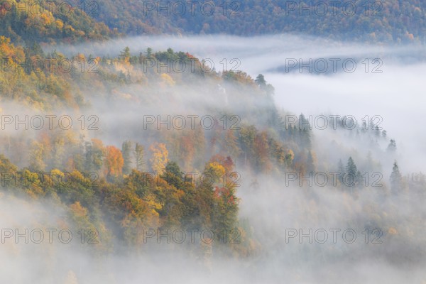 View from the Knopfmacherfelsen into the Danube valley, mixed forest, autumn colours, fog, autumn,