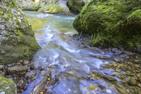 Erlauf Gorge, Purgstall an der Erlauf, Lower Austria, Austria