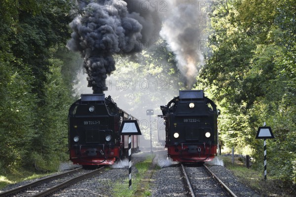 Steam locomotive, steam locomotives double exit on the Harz Narrow Gauge Railway, HSB, in the Harz