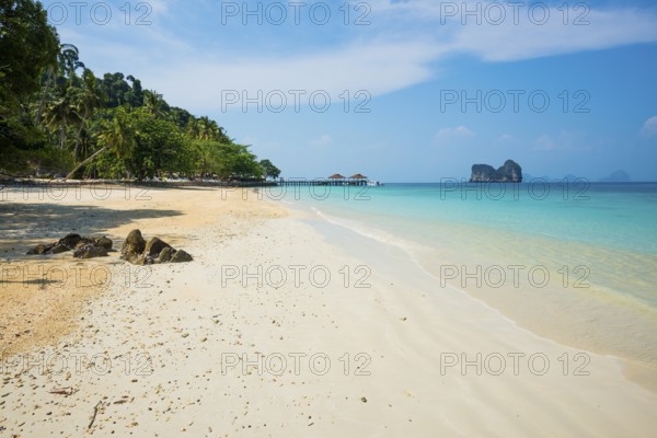 White sandy beach and coconut palms, Sunrise Beach, Koh Great white shark, Ko Ngai, Krabi Province,