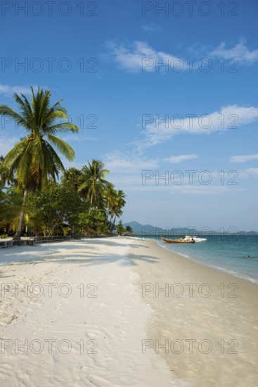 White sandy beach and coconut palms, Pearl Beach, Koh Mook, Trang Province, Southern Thailand,