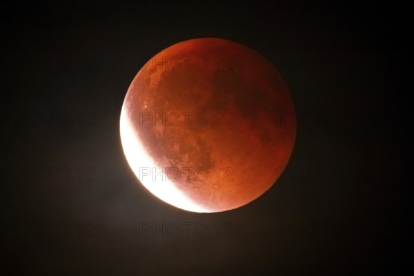 After a total lunar eclipse, the moon appears shortly after its rise in the evening sky as a