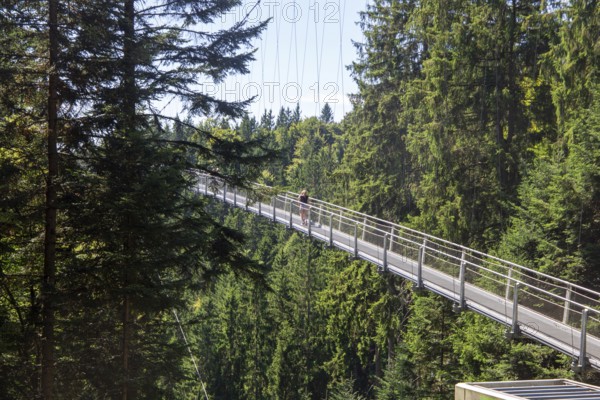 Wildline Bad Wildbad: The pedestrian suspension bridge is 380 metres long and 60 metres high. It