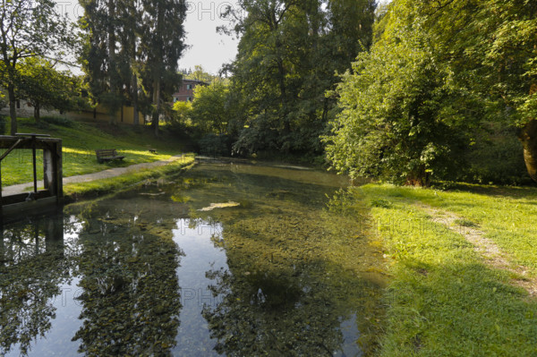 Lauter spring, Große Lauter, karst spring, body of water, park, idyll, meadow, lawn, trees,