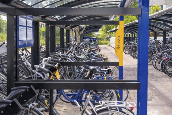 Bicycle parking spaces and boxes on the cycle path in the east of Utrecht, at Utrecht-Lunetten