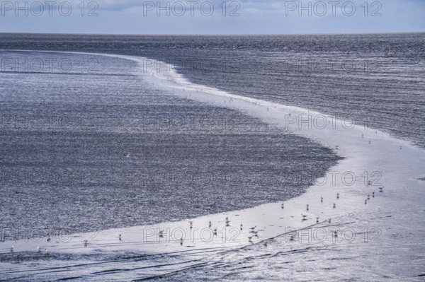 Wadden Sea between the Dutch coast near Eemshaven and the German North Sea island of Borkum, Wadden