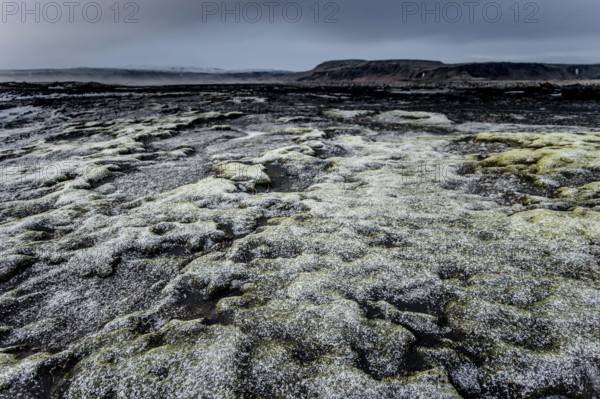 Stones and Moss along the Ring Road, Mountains, Frost, Winter, Cold, Cloudy, Iceland* Stones and