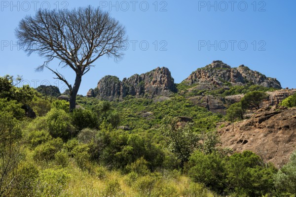Rocher du roquebrune, Roquebrune-sur-Argens, near Saint-Raphaël, Massif de l'Esterel, Esterel