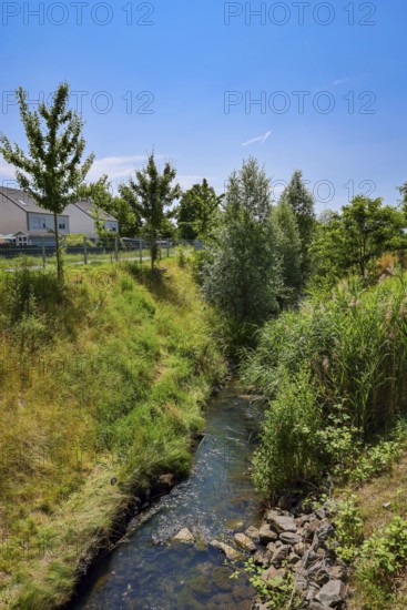 Recklinghausen, North Rhine-Westphalia, Germany - Renaturalised Hellbach, renaturalised
