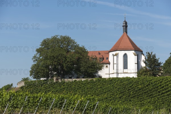 Monastery church Mariä Schutz an der Vogelsburg, vineyards, near Volkach, Mainfranken,