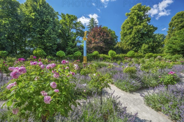 Rosarium with blooming roses and lavender on the Rose Island in Lake Starnberg, Feldafing, Upper