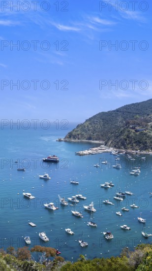 USA, California, panoramic view of Catalina Island Bay and Avalon. Chimes Lookout. Travel