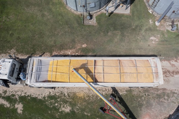 Martin, Michigan - Corn is loaded onto a truck from grain storage bins in west Michigan