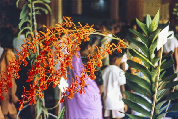 People attending flower show at the Singapore Turf Club, The 4th World Orchid Conference,