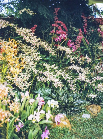 People attending flower show at the Singapore Turf Club, The 4th World Orchid Conference,