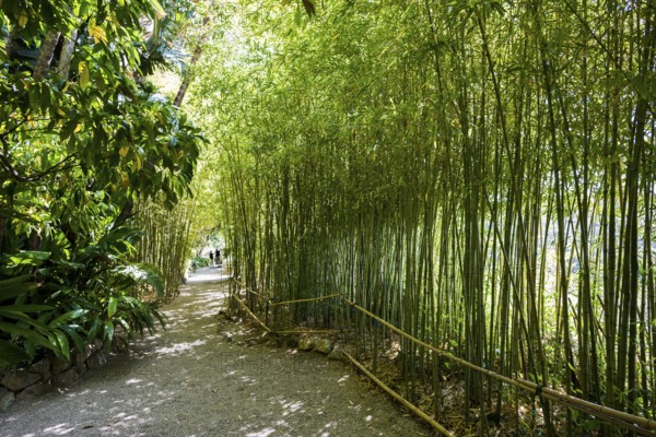 Park, Villa Ephrussi de Rothschild, Saint-Jean-Cap-Ferrat, Cap Ferrat, Alpes Maritimes, Provence