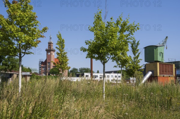 Historic crane and old harbour office, harbour, Dortmund, Ruhr area, North Rhine-Westphalia,