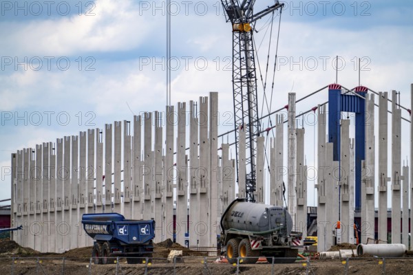 Construction of a new logistics hall on the Mercatroinsel, Hall 2, next to an existing hall, approx