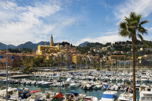 Town with colourful houses by the sea, Menton, Alpes Maritimes, Provence Alpes Cote d'Azur, French