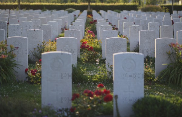 Gravestones, war graves, soldiers' graves, flowers, roses, British and German military cemetery,