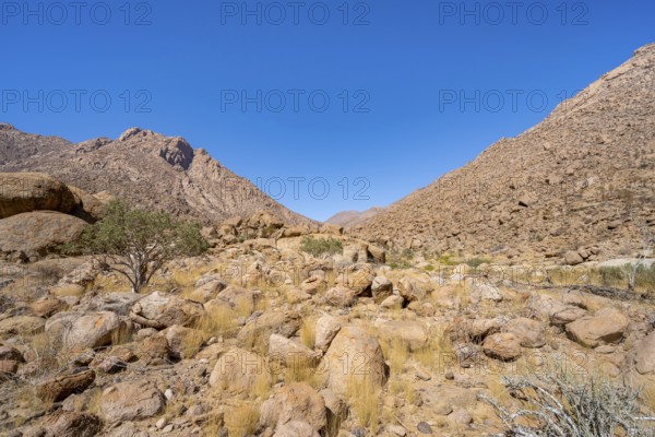 Tsisab Gorge, White Lady Trail, desert landscape with mountains, Brandberg, Erongo, Damaraland,