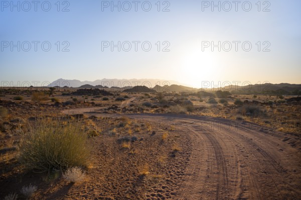 Sandy track, desert landscape in the evening light at sunset, backlit, Brandberg, Erongo,