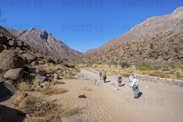 Tourists on a hiking trail in the Tsisab Gorge, White Lady Trail, desert landscape, Brandberg,