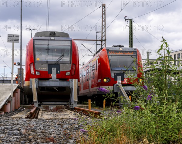 Bridge at Camberger Straße, Galluswarte, Deutsche Bahn, tracks and trains, Frankfurt am Main,
