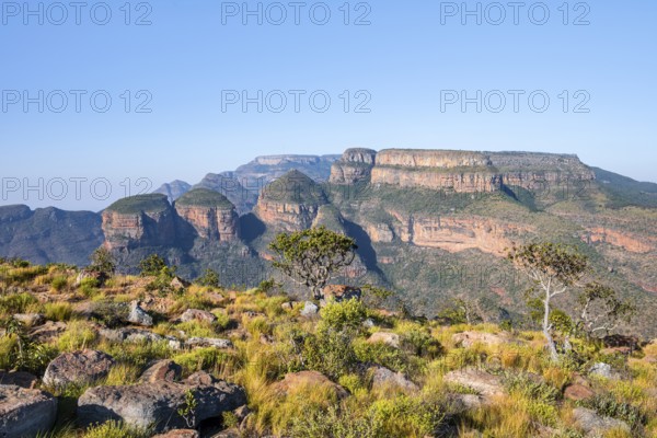 Blyde River Canyon with Three Rondawels peak, view of canyon and table mountains, canyon landscape,