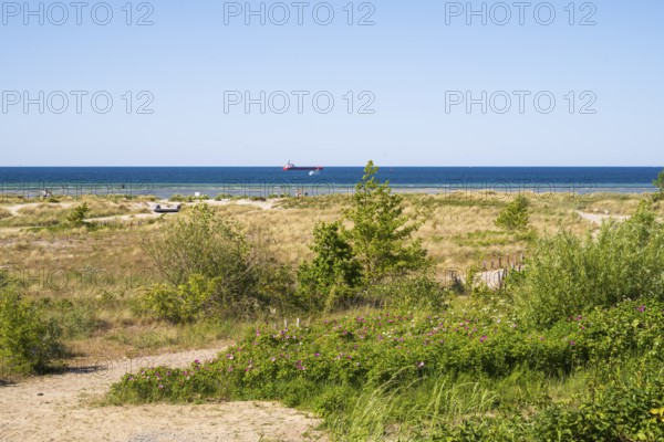 Nature experience area dune landscape, beach, coast, Laboe, Baltic seaside resort, fjord, Baltic
