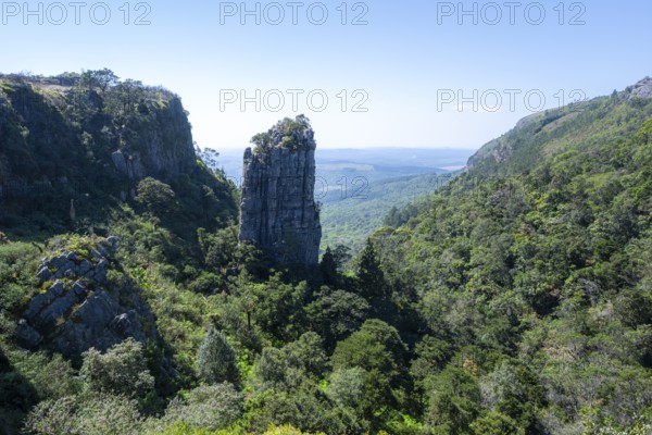 Rock needle in a densely forested canyon, Pinnacle Rock, view over canyon landscape, near Graskop,