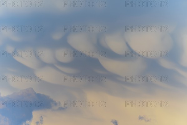 Unusual cloud structures create captivating shapes against a backdrop of warm colours as the sun