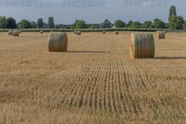 Large round barns are scattered across a golden field, framed by vibrant green trees under a partly