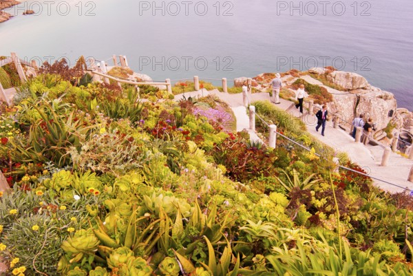 Minack Theatre, spectacular open-air theatre, circular path with lush planting, South England,