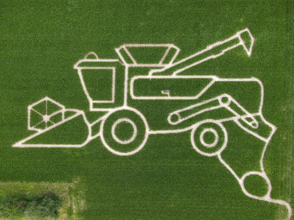 The maize maze of the Maize Spirits near Weißkirchen, near Frankfurt am Main, shows a combine