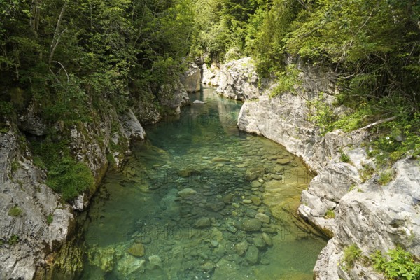 The River Ara in the Bujaruelo Valley or Valle de Bujaruelo near Torla-Ordesa, Spain
