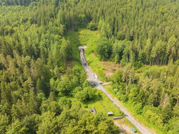 An extensive forest landscape with a railway line and a tunnel, construction of the Hermann Hesse