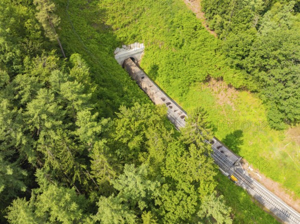 A train moves towards a tunnel surrounded by dense forest, construction of the Hermann Hesse