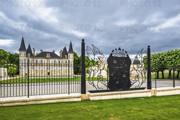 Vineyard of Chateau Pichon Longueville Baron Vineyard and grape fields around Pauillac, Bordeaux,