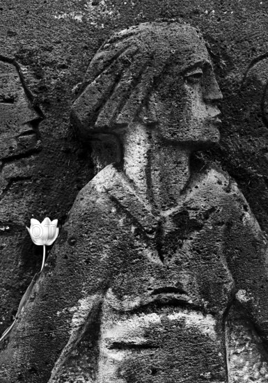 Bittermark memorial, memorial site, detail with tulip for the memorial service on Good Friday,