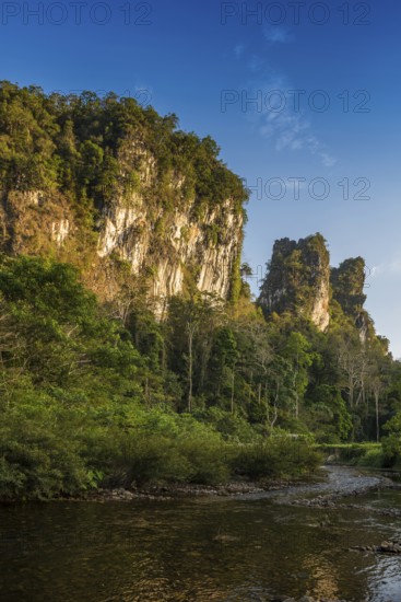 Jungle and rainforest with steep mountains, Khao Sok National Park, Phang Nga, Surat Thani,
