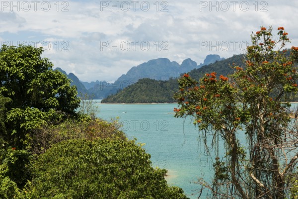 Lake with jungle and rainforest and steep mountains, Cheow Lan Lake, Khao Sok National Park, Phang