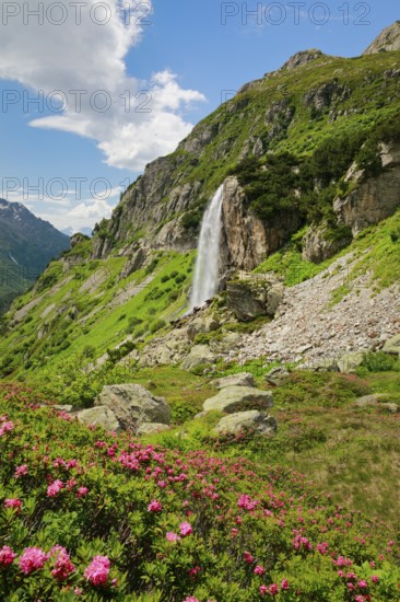 Wyssebach Falls plunges over a striking cliff, Canton of Bern, Switzerland