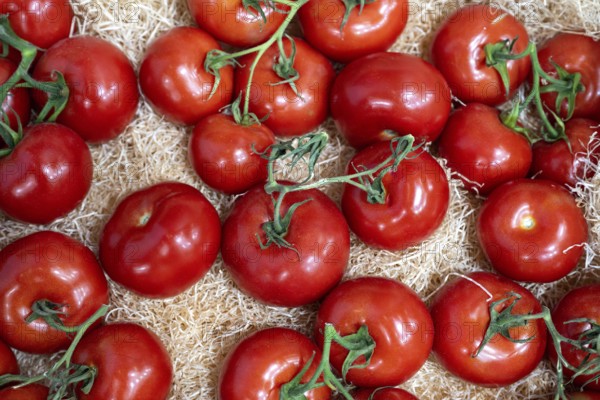 Tomatoes
