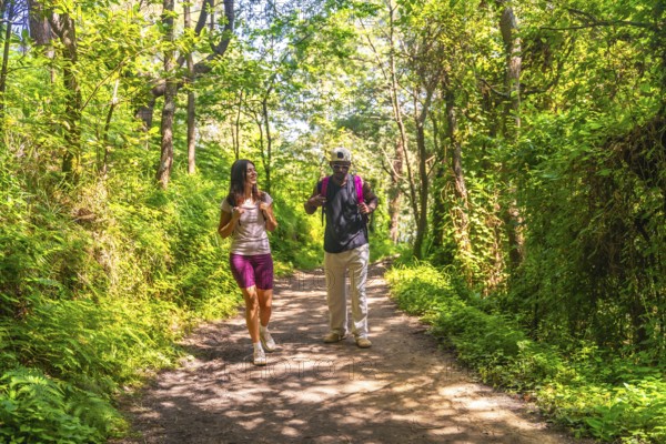 Hikers with backpacks strolling along a scenic trail, surrounded by lush green trees and vibrant