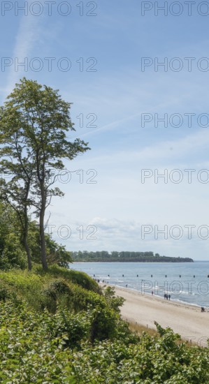 Steep coast, natural sandy beach, Baltic seaside resort of Rerik, Baltic Sea, Rostock district,