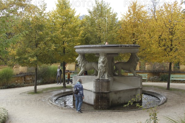Lion fountain in the inner courtyard of Hohenschwangau Castle near Füssen, Allgäu, Bavaria,