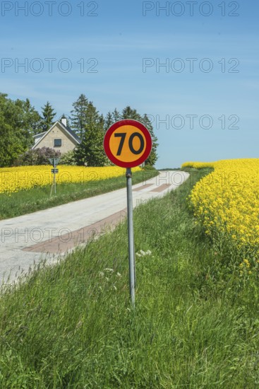 Traffic sign, speed limit 70 kmh, at country road though field of flowering rapeseed in Skurup