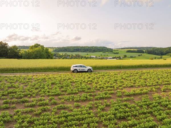 A car on a path through green fields with a wide view of the landscape, Deer E- CarSharing, Renault